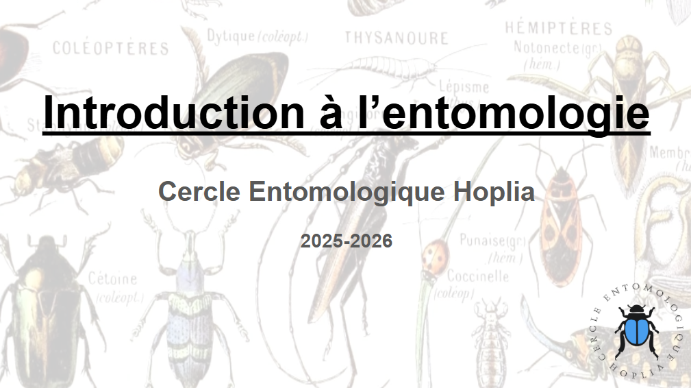1ère réunion du Cercle Hoplia