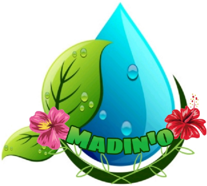 Logo Madin'O