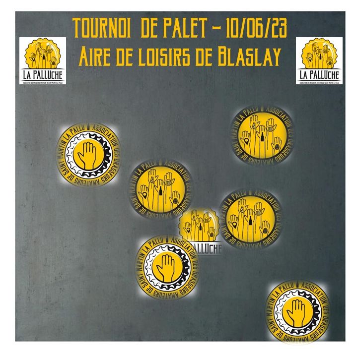 Tournoi de palet La Palluche