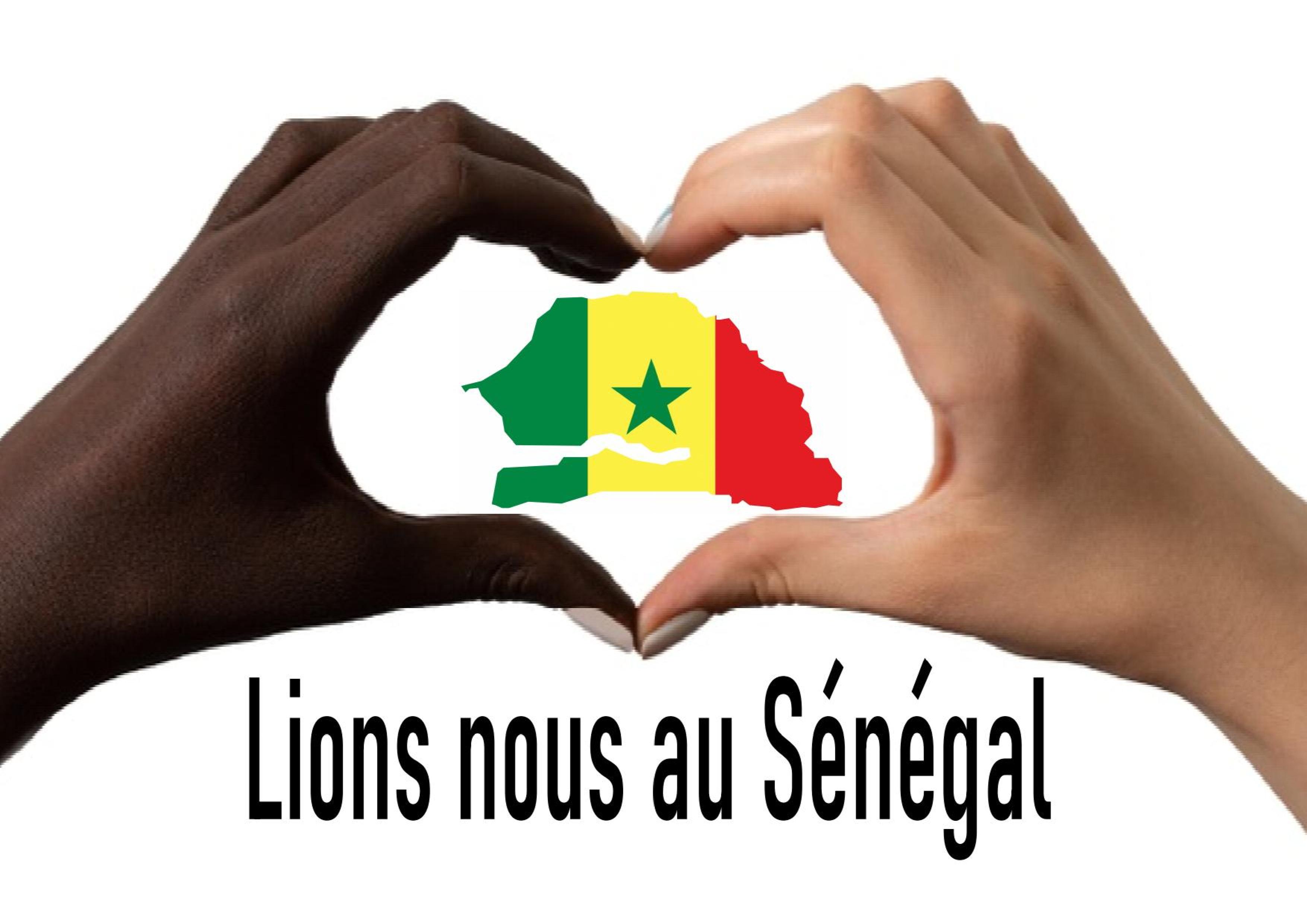 Logo LIONS NOUS AU SENEGAL