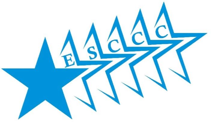 Logo Etoile Sportive de Cheverny et Cour-Cheverny