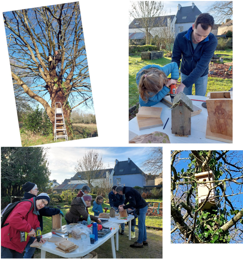 Animation nichoirs 17/01/2026