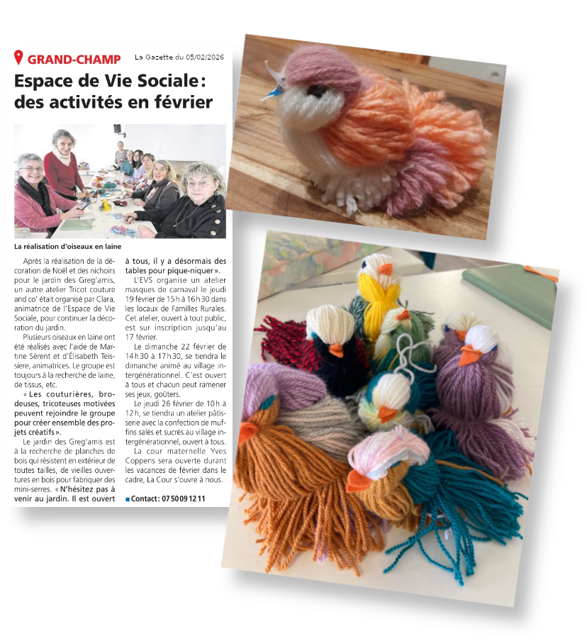 Atelier fabrication d'oiseaux en laine