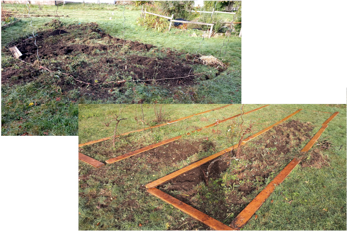 Animation du 08/11/2025