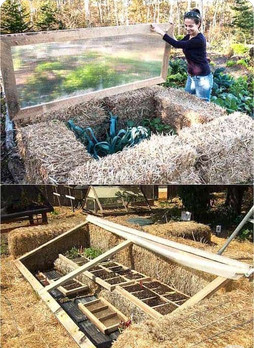 Fabrication de mini-serres