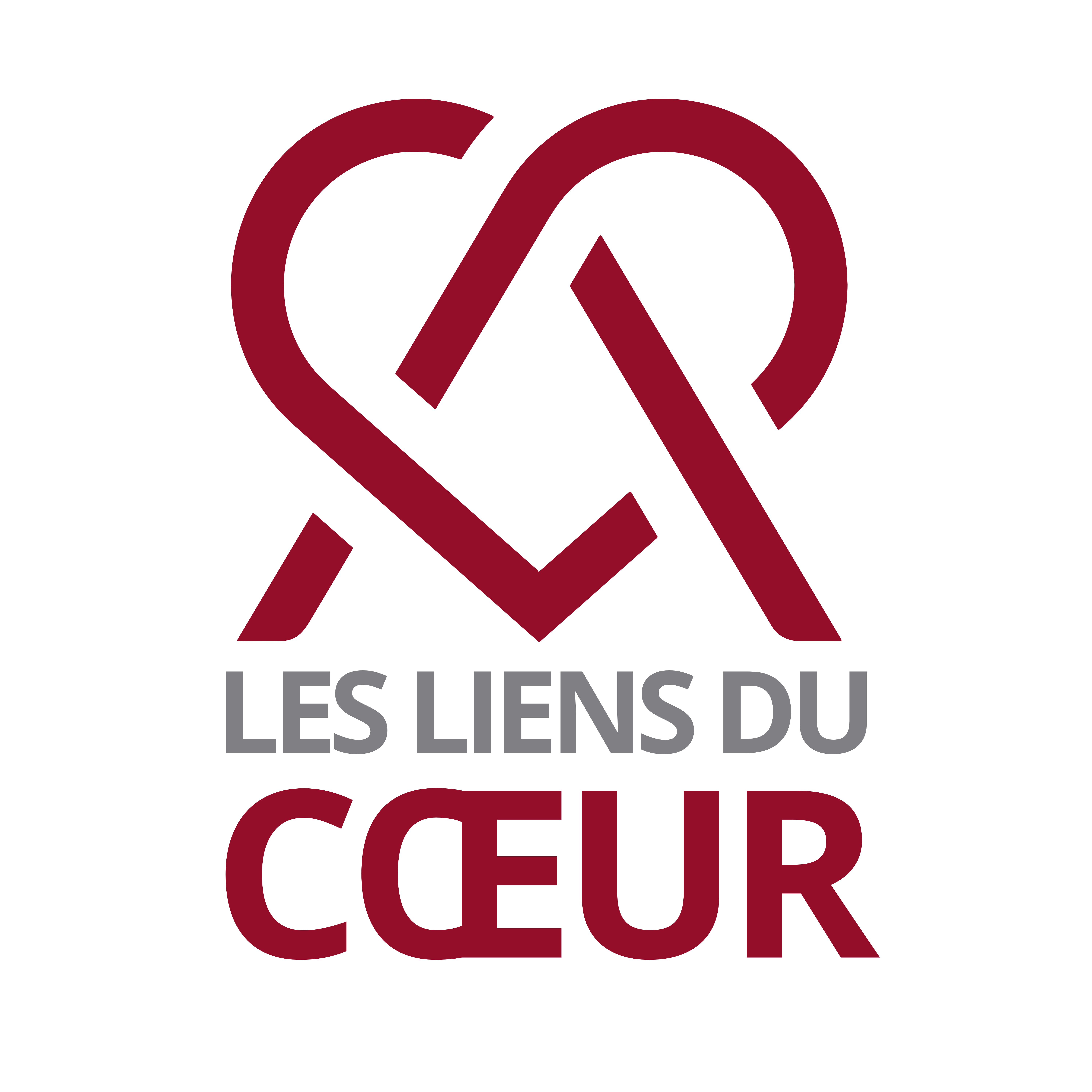 Logo les liens du coeur