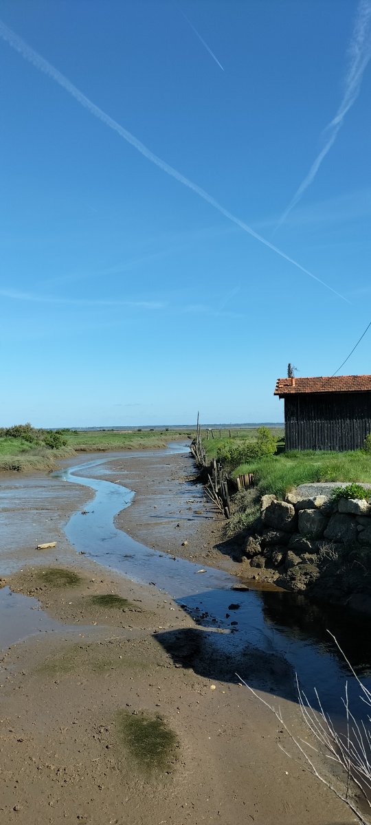 Port de la Mole