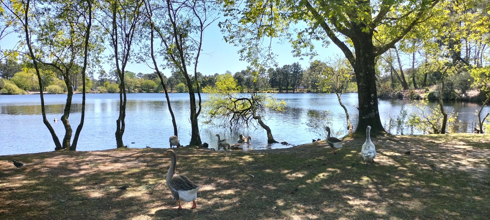 Lac de la Magdeleine