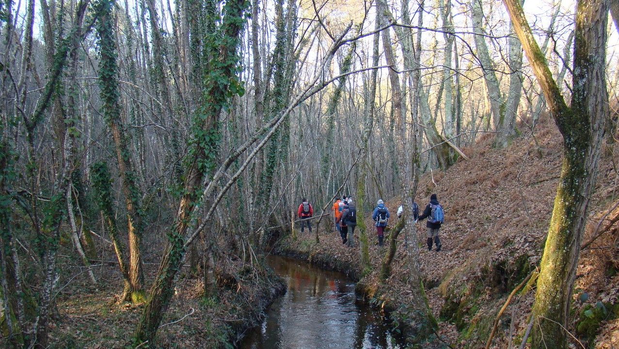 Rando 10 km St-Médard-en Jalles (matinée)
