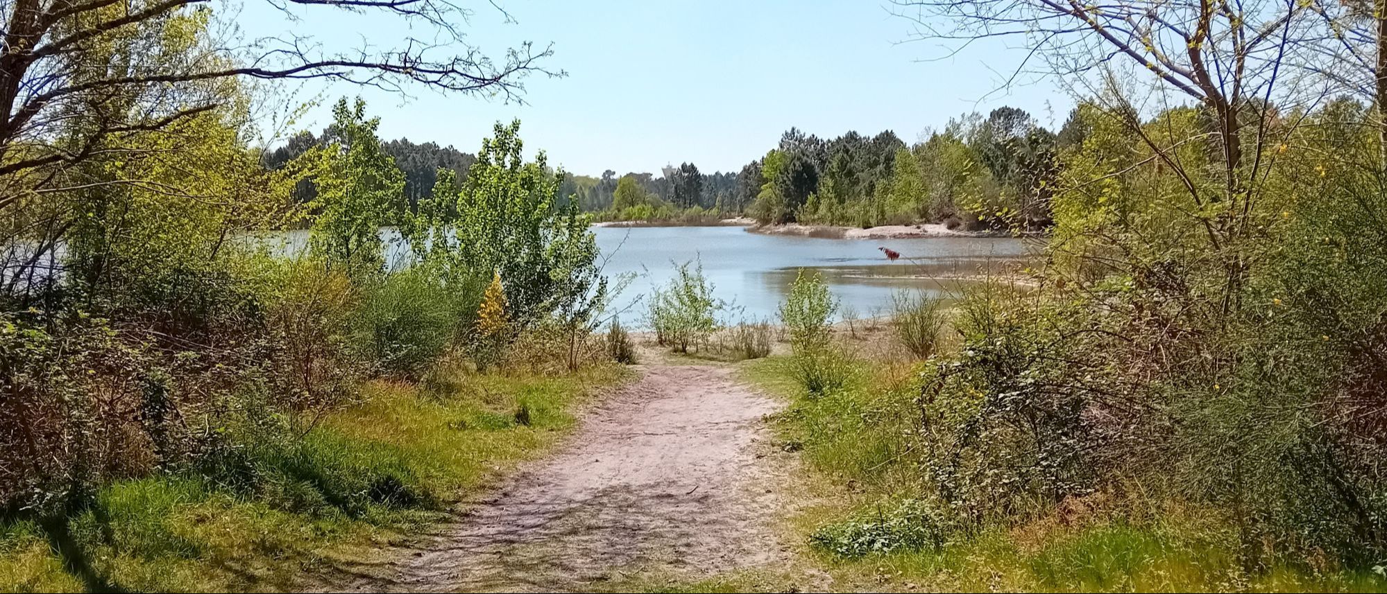 Rando douce à St Jean d'Illac
