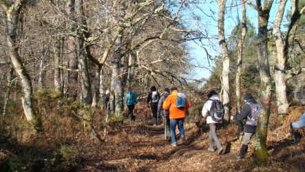 Rando douce à St Médard en Jalles