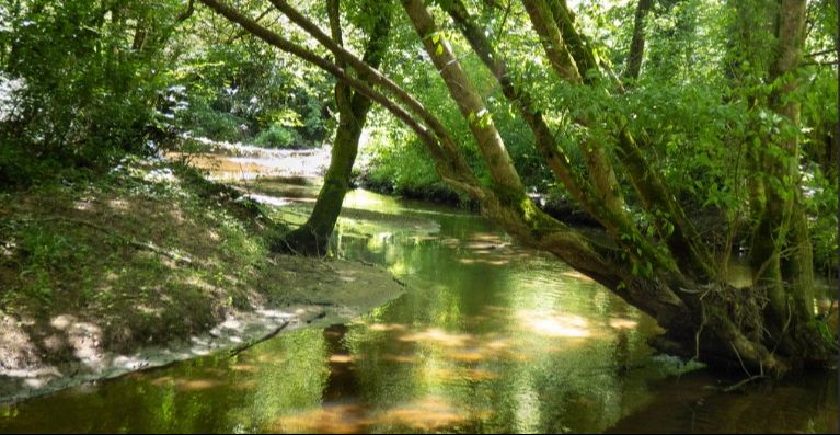 Randonnée 10 km à Canéjan