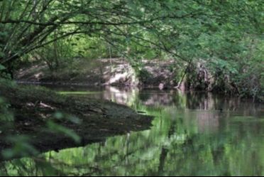 Rando 10 km à Canéjan - Eau Bourde et forêt