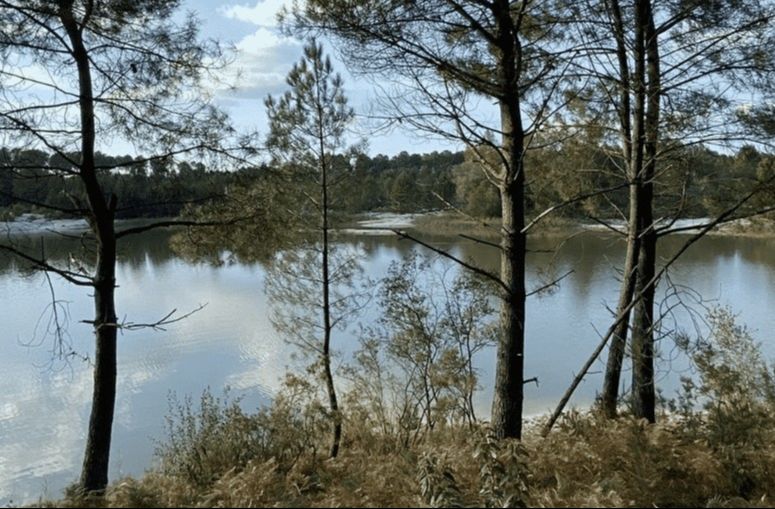 Rando 10 km à Saint Jean d'Illac