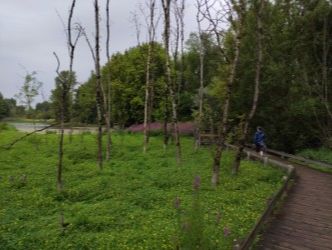 Rando 10 km à Bègles