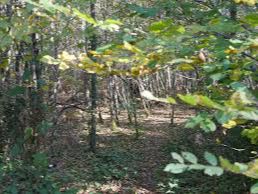 Rando douce Le Taillan