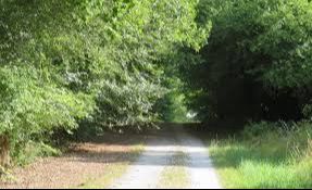Rando 10km St Aubin du Médoc