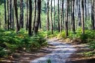 Rando 10 km : Le Barp et ses anciens quartiers