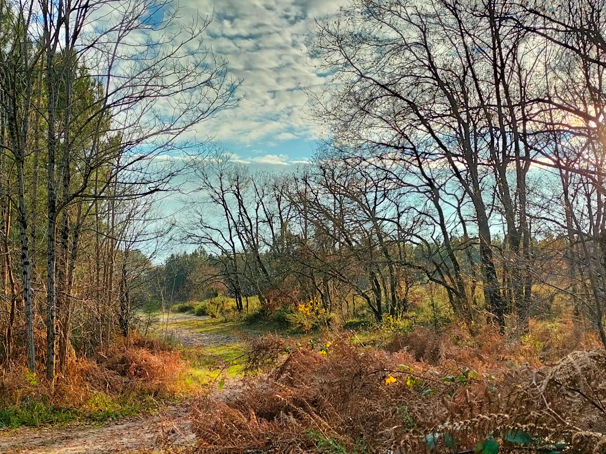 Rando 10 km à Martignas