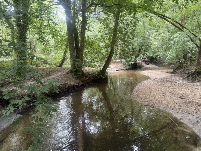 Rando 10 km Canéjan