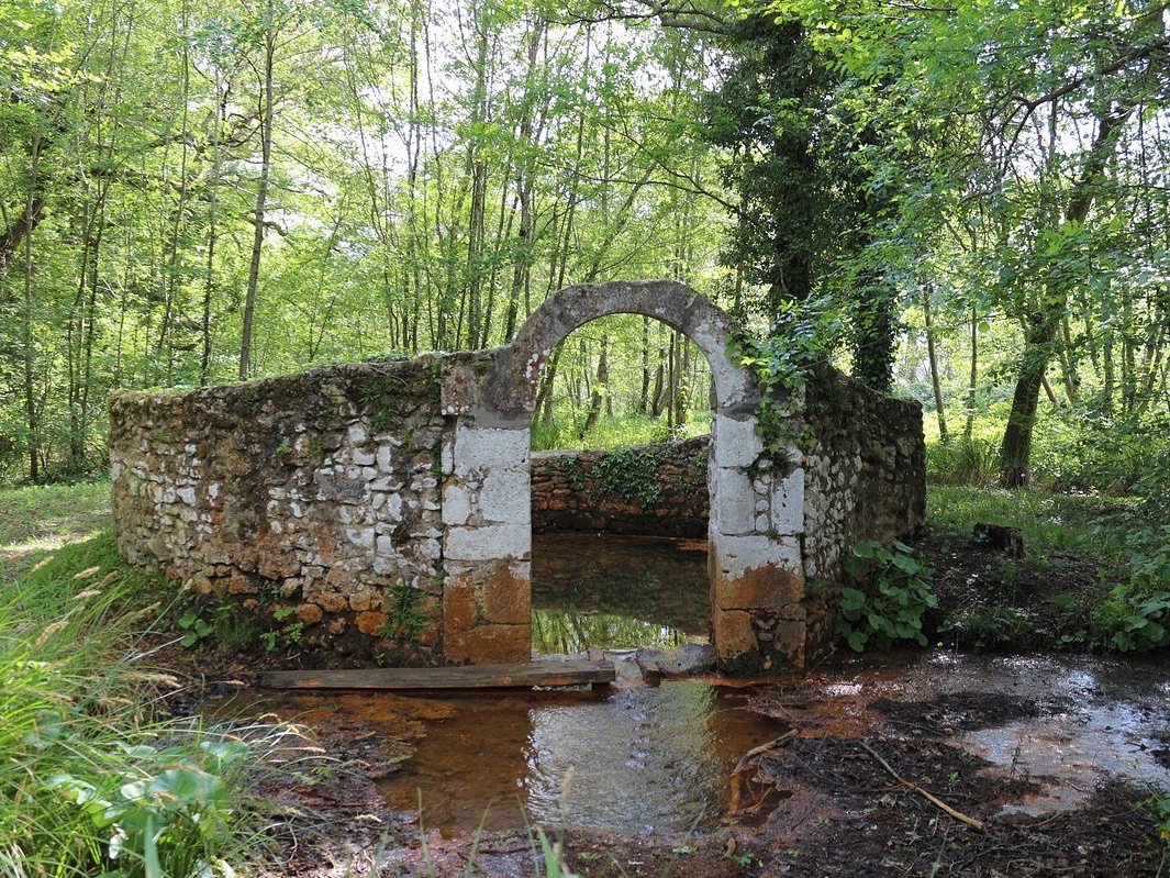 Randonnée 20 km à Saint Laurent Médoc