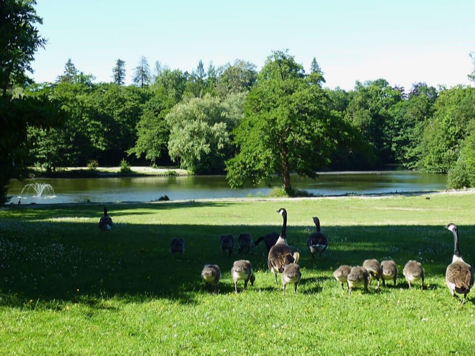 Rando douce à Mérignac