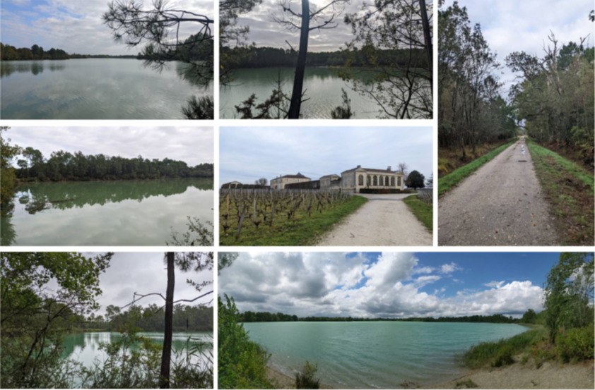 Rando 20 km à Arsac ANNULEE arrêté préfectoral interdisant la randonnée en forêt