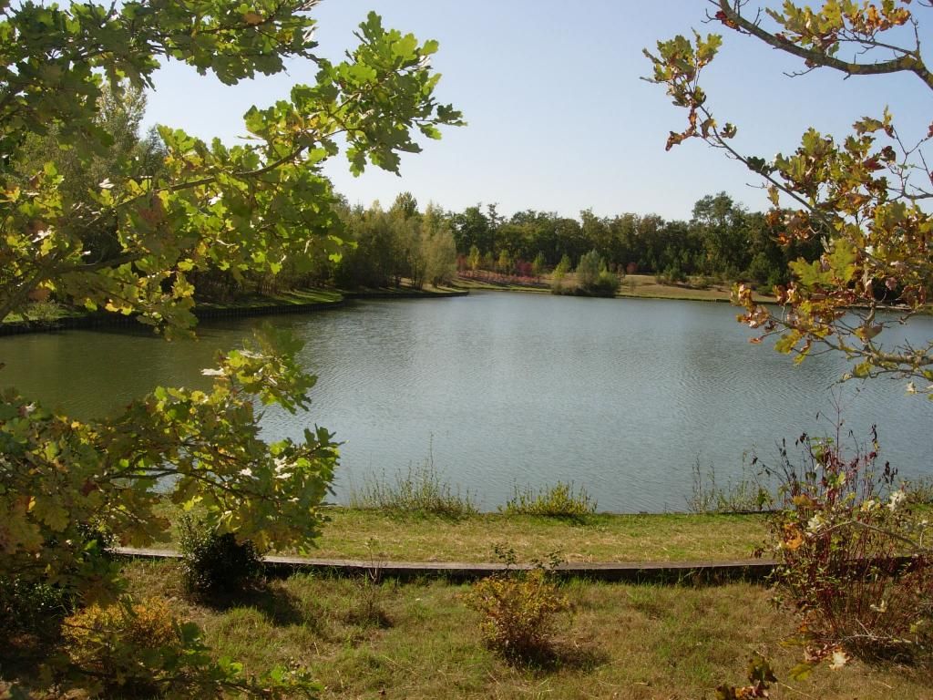 Rando 15 km à Pessac