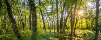 Rando douce Le Taillan Médoc