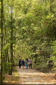 Rando douce Le Bouscat - Bruges