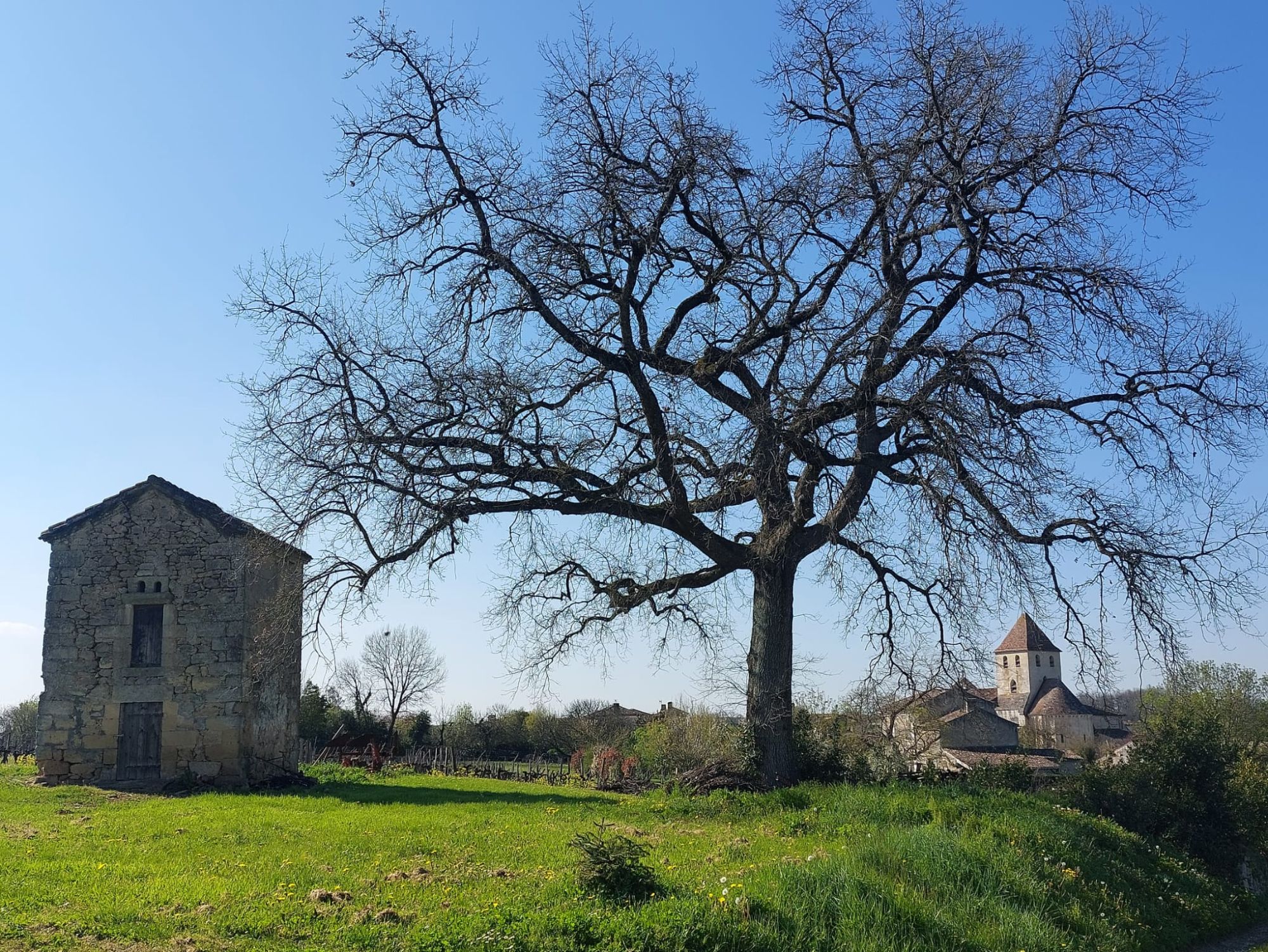 20 km sur les côteaux de la Dordogne au départ de St Jean de Blaignac