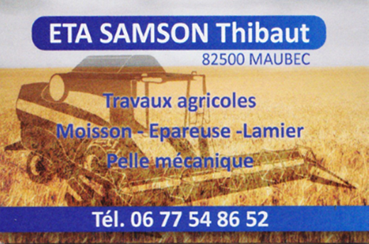 etasamson-1750705223.png