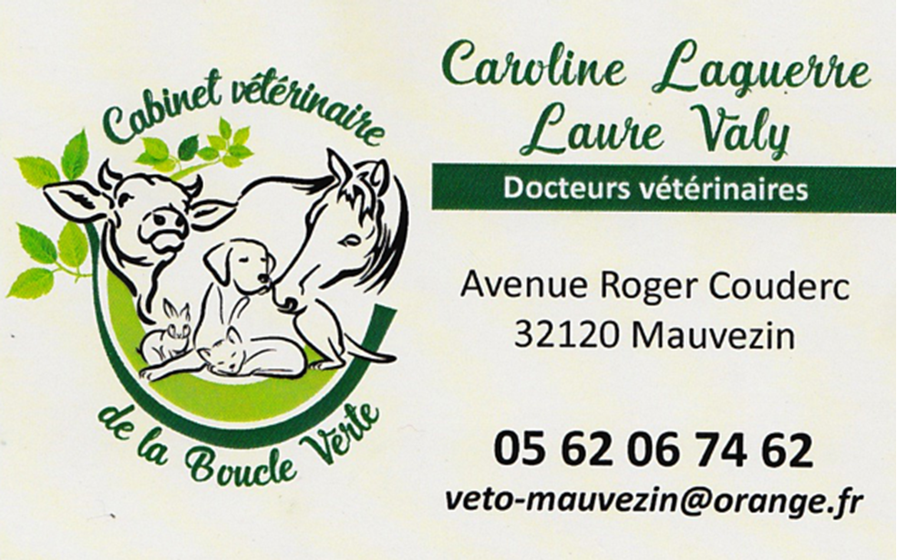 laguerreveto-1750625584.png