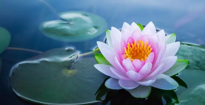 Logo Association regards et perspectives