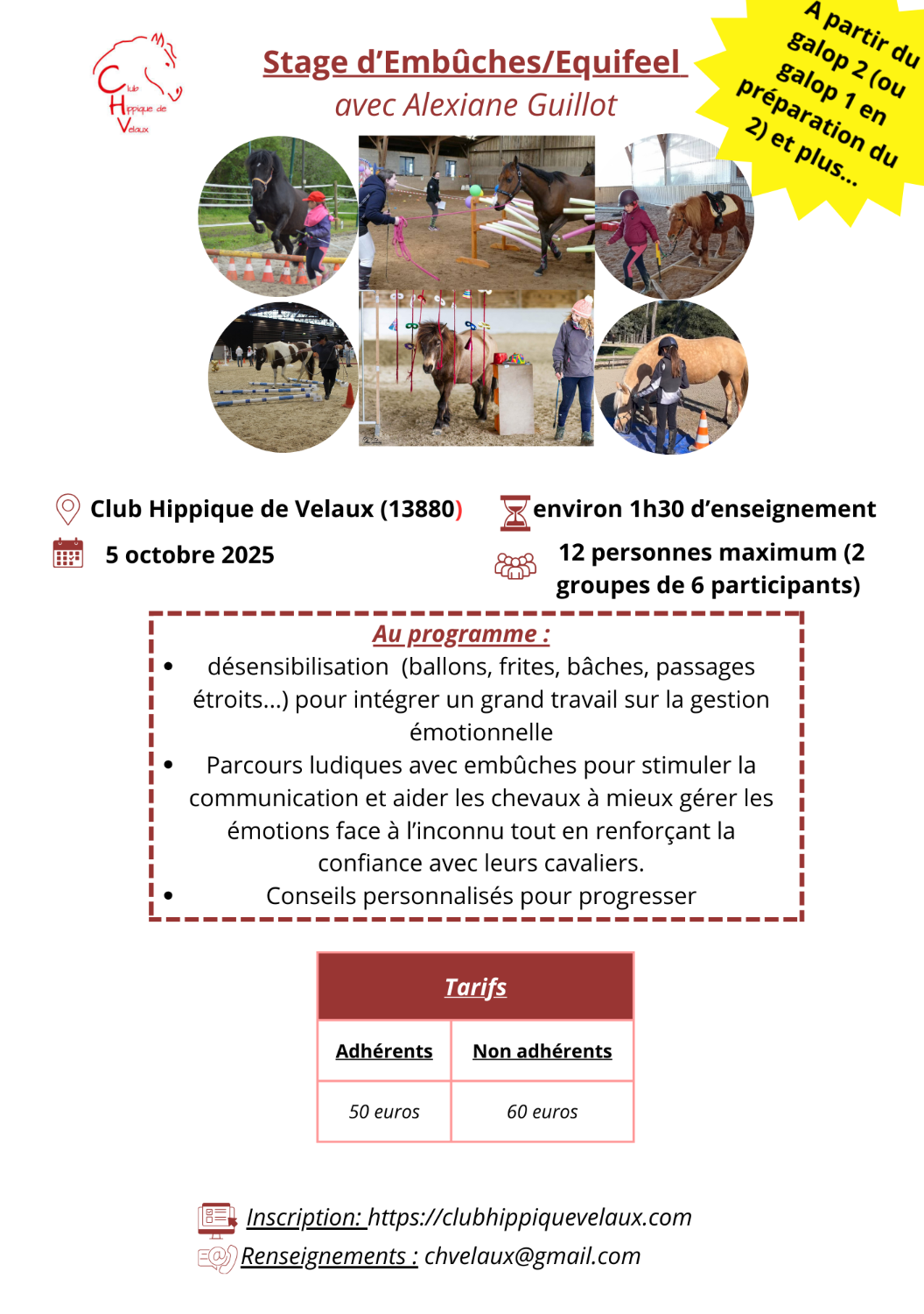 Stage d'Equifeel / Embuches - Alexiane GUILLOT