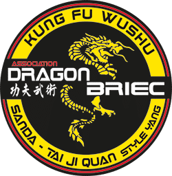 Logo DRAGON BRIEC