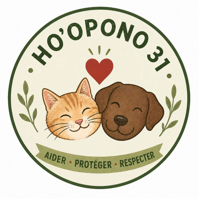 Logo Ho'opono 31