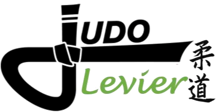 Logo judo levier