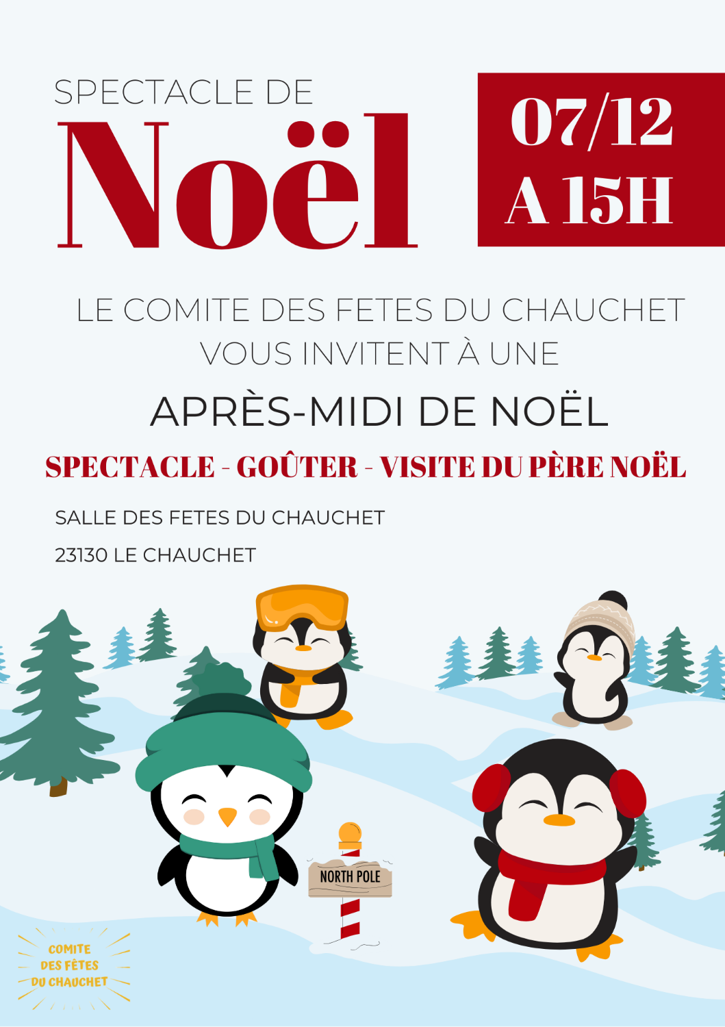 SPECTACLE DE NOEL