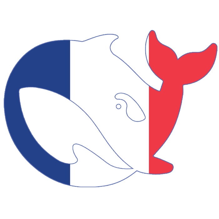 Logo Deepseek Français