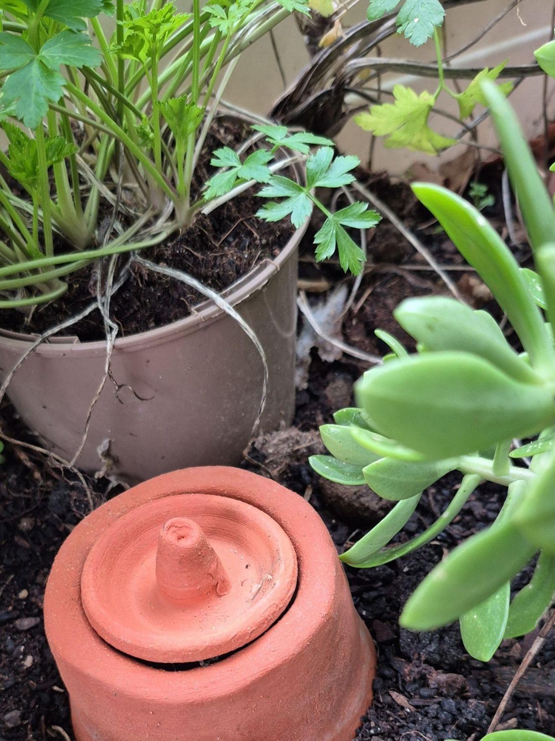 Atelier fabrication oyas