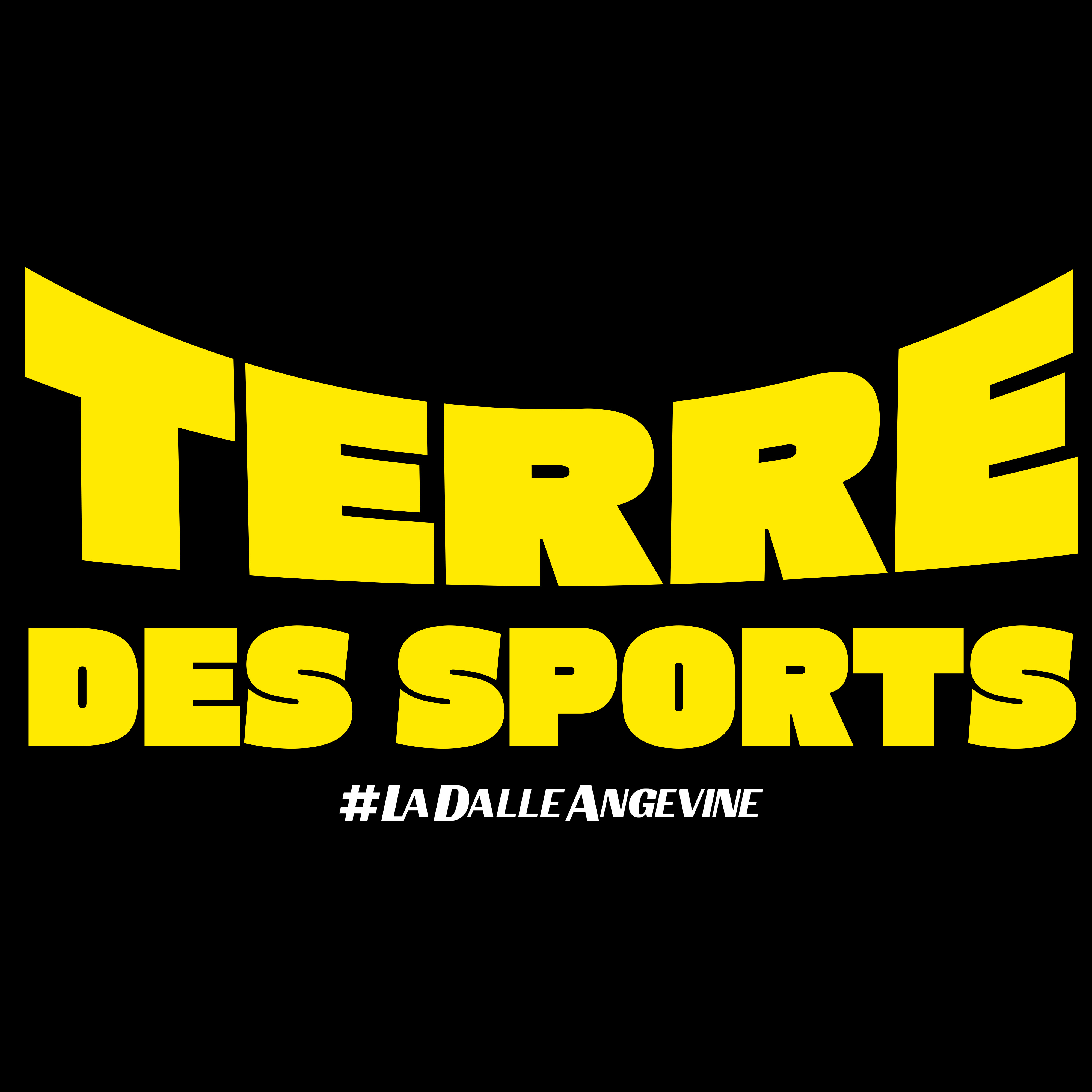 Logo #LaDalleAngevine