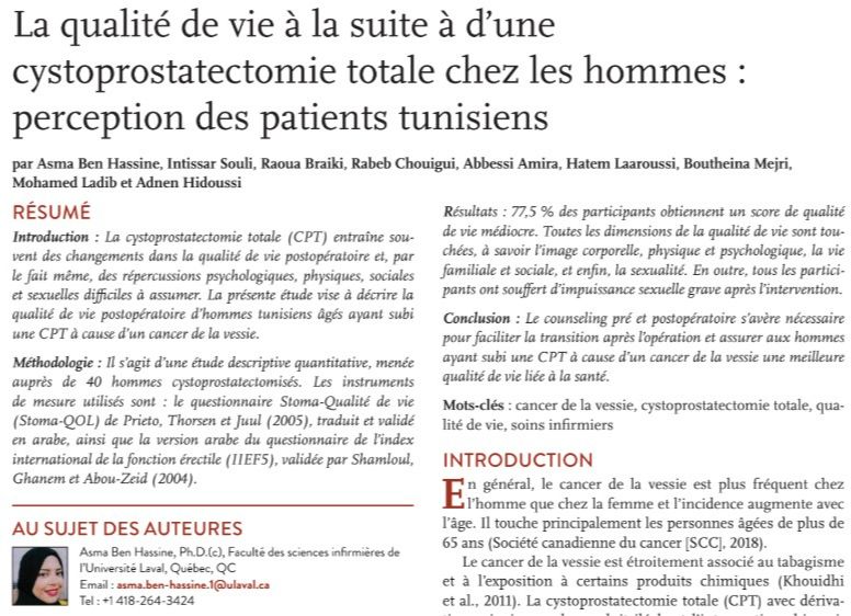 Articles - Vignette