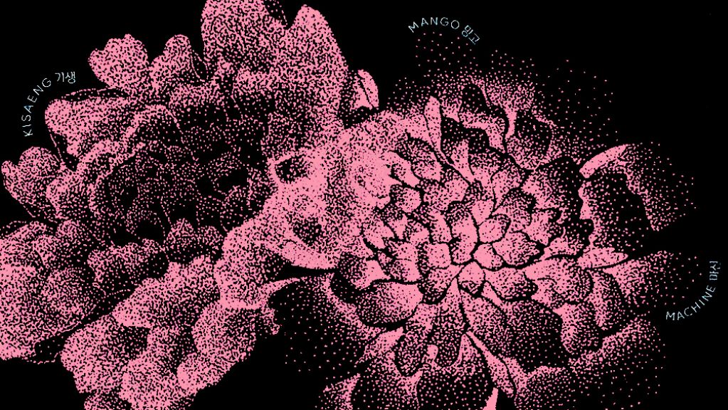 KISAENG MANGO MACHINE