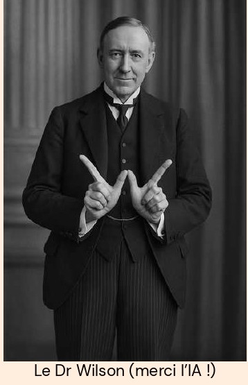 Logo Association ABP Wilson France