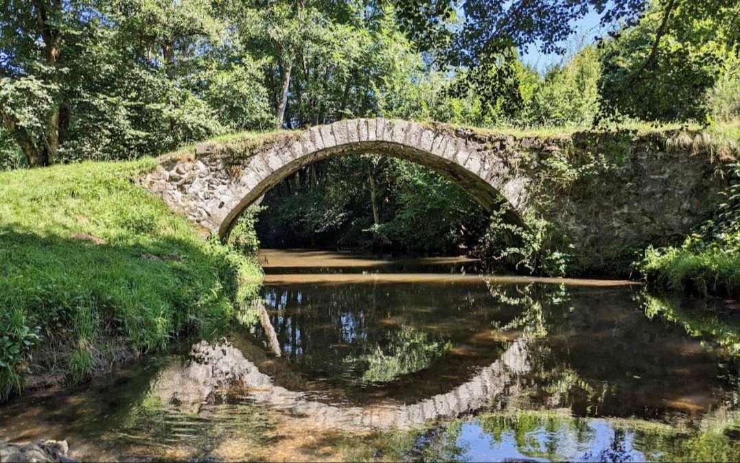 Assemblée Générale 2025