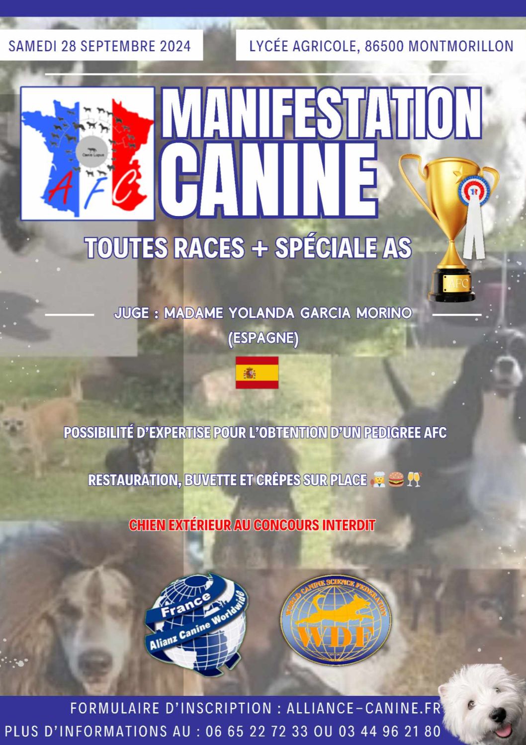 MANIFESTATION CANINE  MONTMORILLON