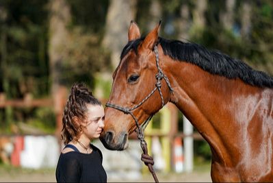 MAE : initiation à la Médiation avec les équidés