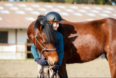 Certificat de Compétences s'Initier à l'Équitation Éthologique - CCIEE