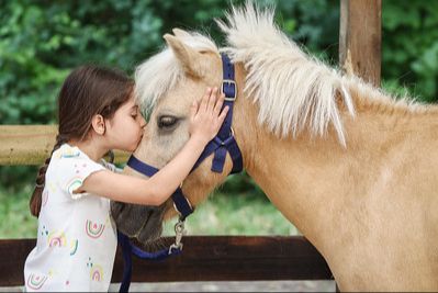 La pédagogie ludique au service de l’équitation du Baby poney 34